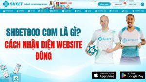 SHBET800 COM Là Gì? Cách Nhận Diện Website Đúng